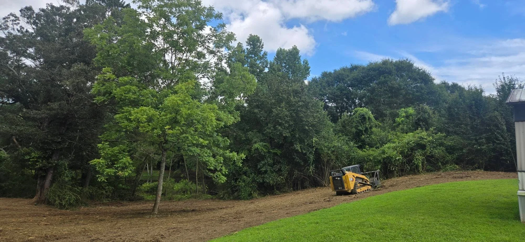 Yellow tracked skid steer clearing wooded lot with graded earth and mature trees preserved at tree line