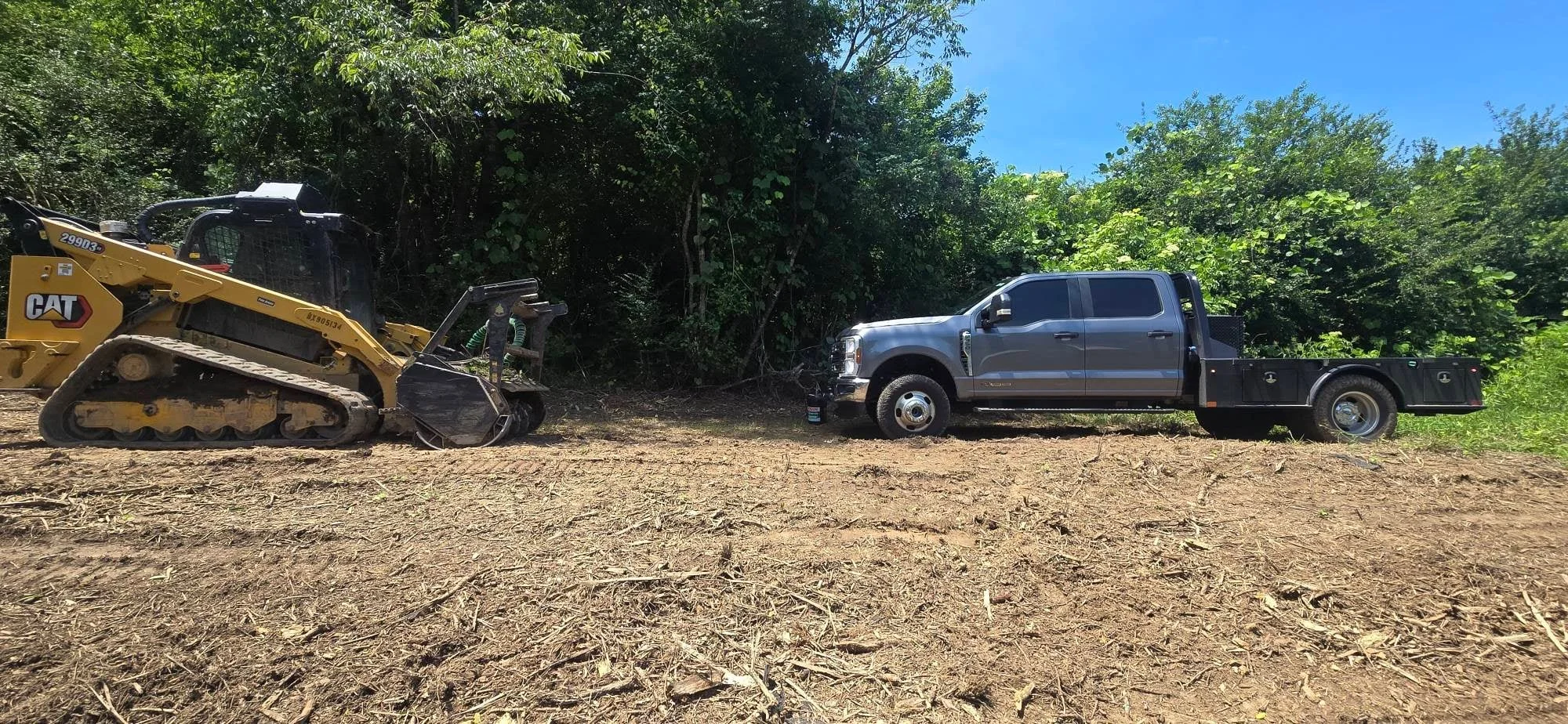 CAT skid steer with brush cutter clearing dense woods, dump truck on cleared site