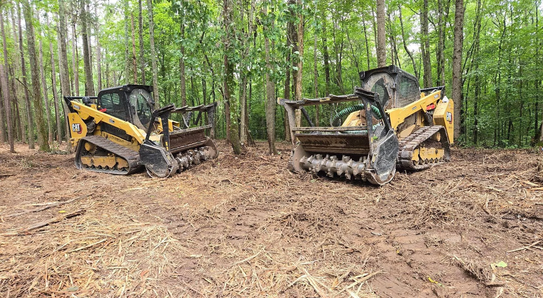 Two yellow CAT skid steers with brush cutters clearing wooded forest floor debris