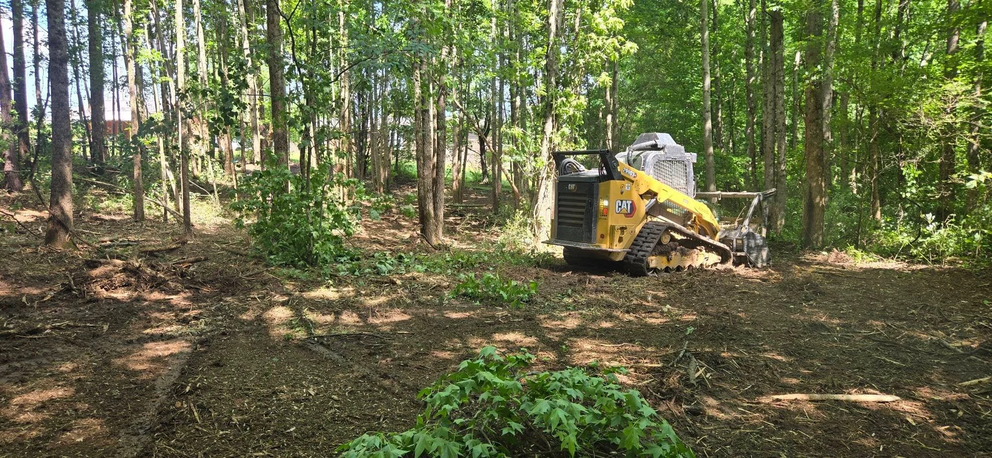 CAT skid steer loader grading wooded lot with mature trees and cleared forest floor
