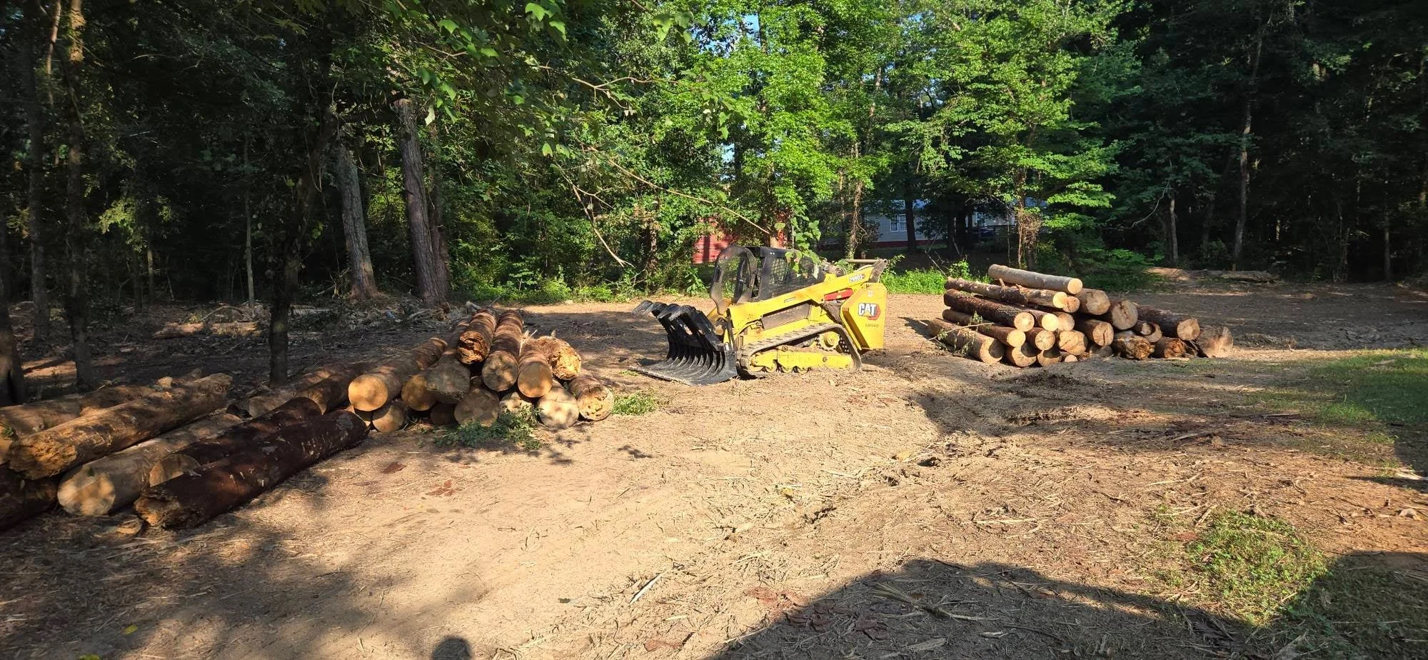 CAT track loader processing felled logs on cleared wooded lot with organized timber piles