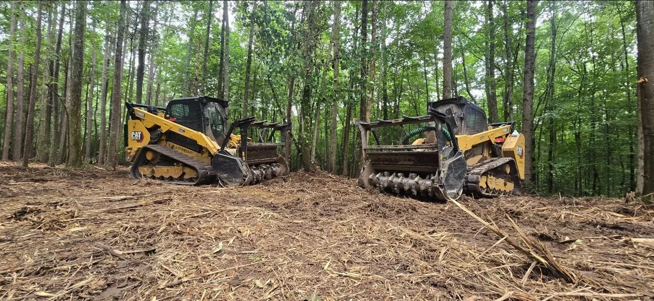 CAT skid steer loader with grapple bucket and hydraulic attachments performing land clearing on overgrown property