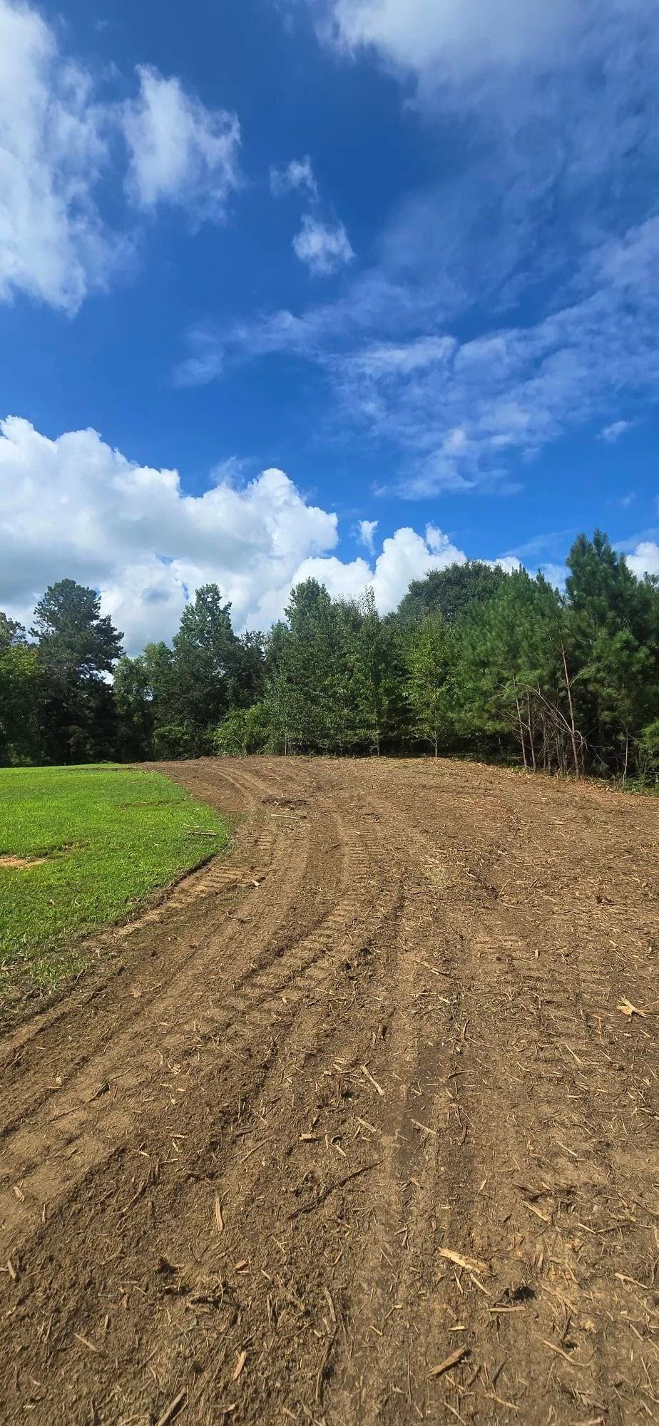 Cleared dirt lot with tree line, freshly graded soil and removed vegetation
