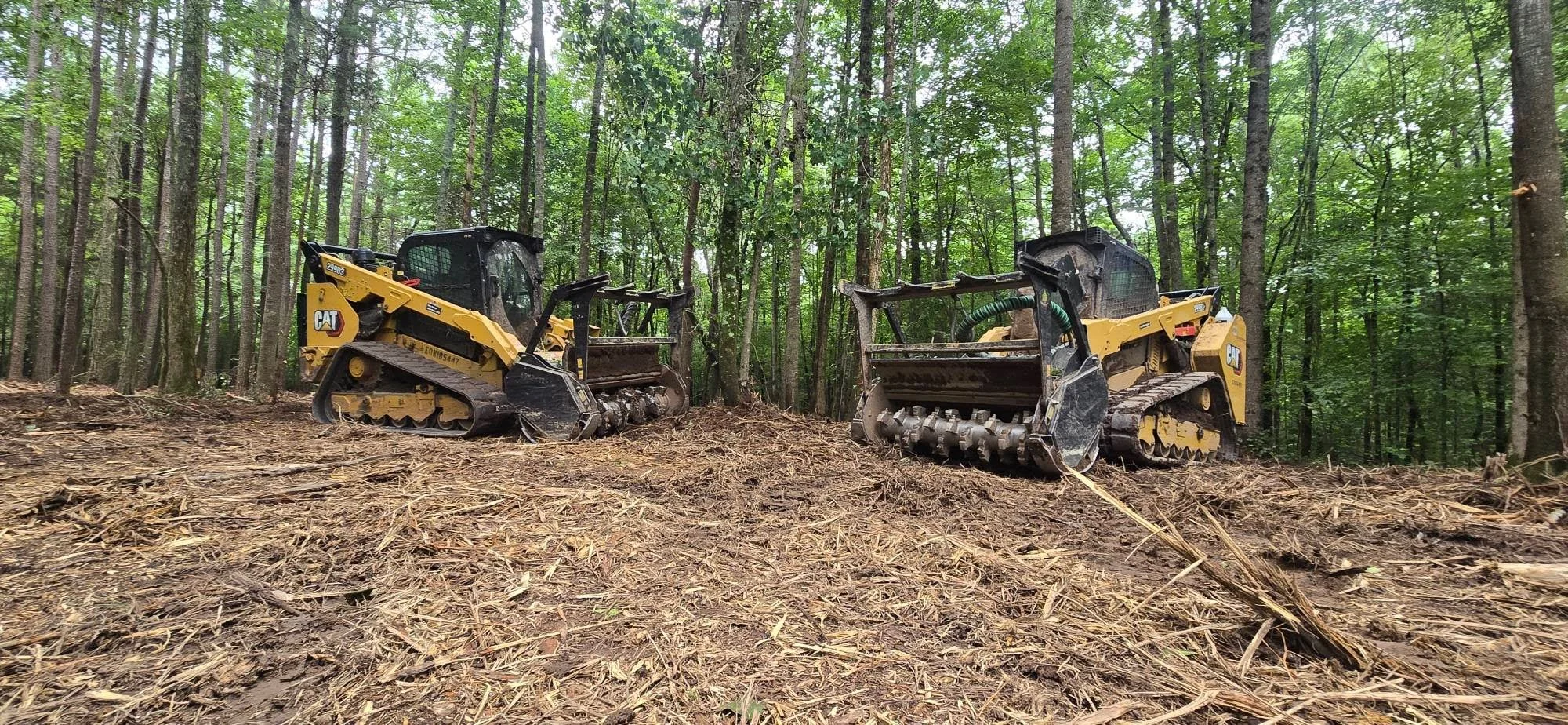 Two CAT track loaders with mulching attachments clearing wooded forest land, processing timber and vegetation