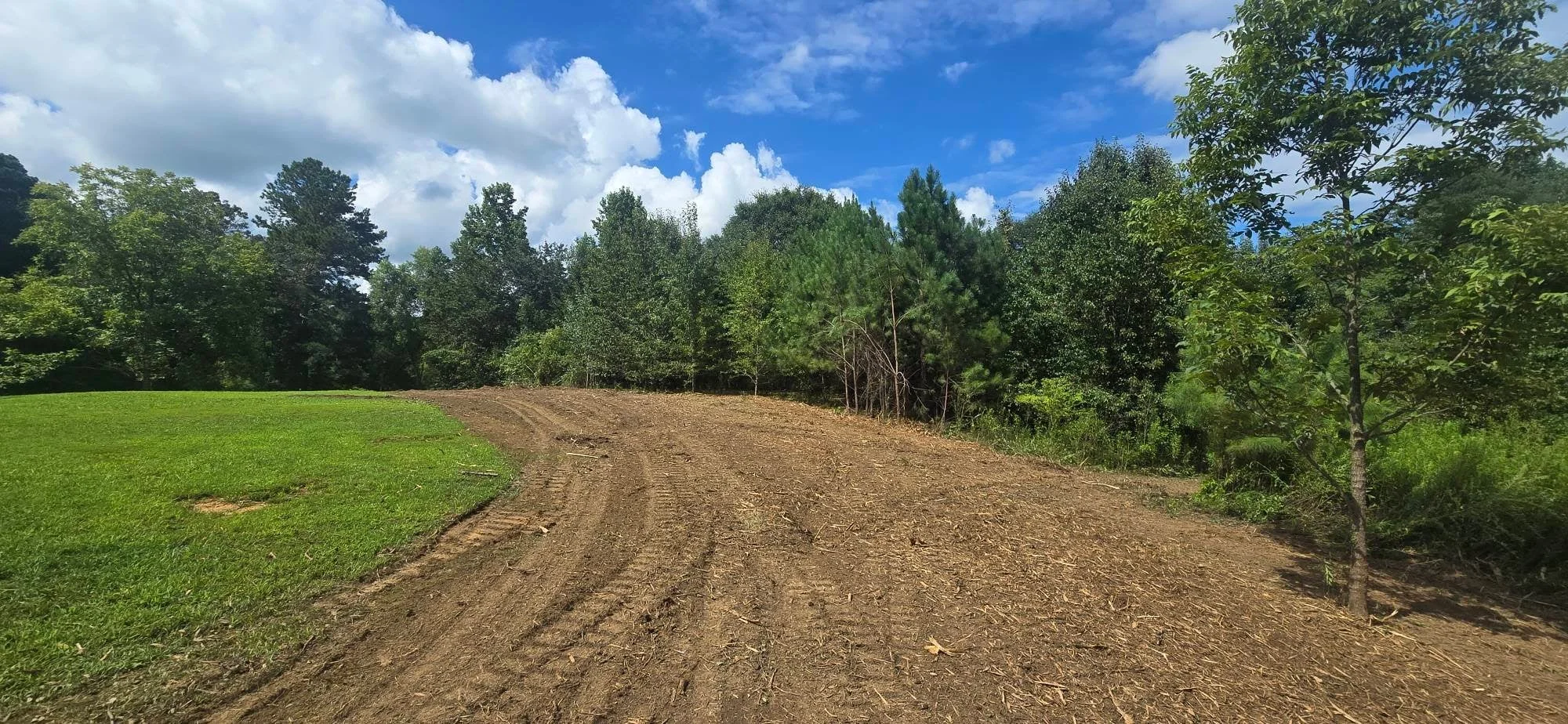 Cleared dirt lot with graded soil, mature trees in background, green lawn on left side
