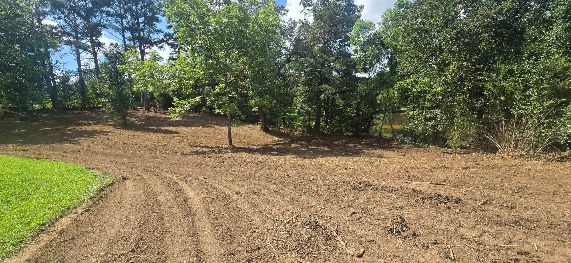 Cleared wooded lot with graded soil, mature trees, and prepared ground for construction