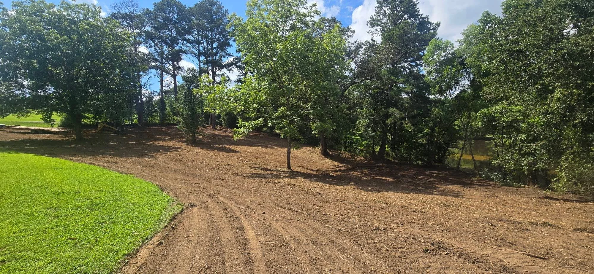 Cleared wooded lot with graded soil, mature trees retained, manicured lawn edge